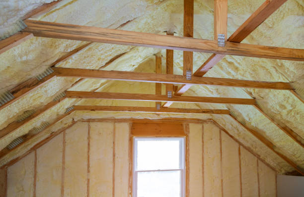 Best Insulation Installation Services in Bridgeport, NE